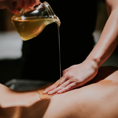 Debowy Biowellness & Gory Sowie 4*