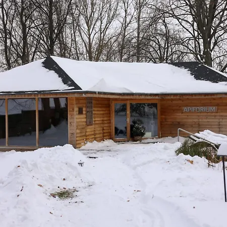 Debowy Biowellness & Gory Sowie Otel Bielawa (Dzierzoniow)