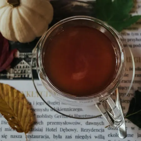 Hotel Debowy Biowellness & Gory Sowie 4*