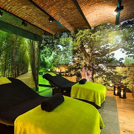 Otel Debowy Biowellness & Gory Sowie