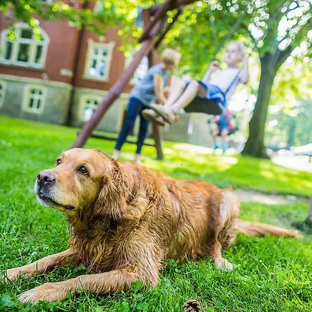 Debowy Biowellness & Gory Sowie Bielawa (Dzierzoniow)