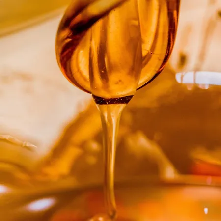 Hotel Debowy Biowellness & Gory Sowie 4*