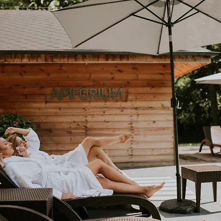 Hotel Dębowy Biowellness&spa Góry Sowie