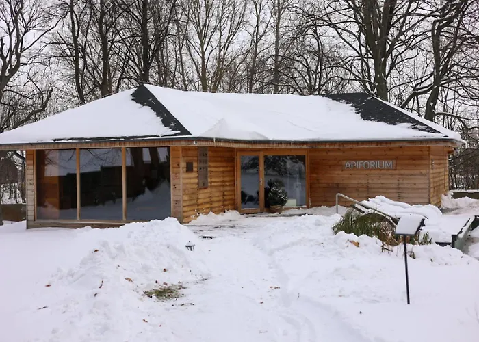 Debowy Biowellness & Gory Sowie Hotel Bielawa (Dzierzoniow)