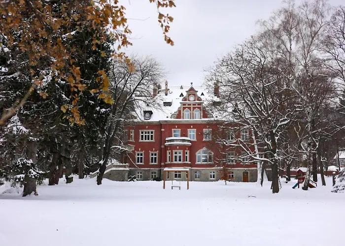 Hotel Dębowy Biowellness&spa Góry Sowie 4*