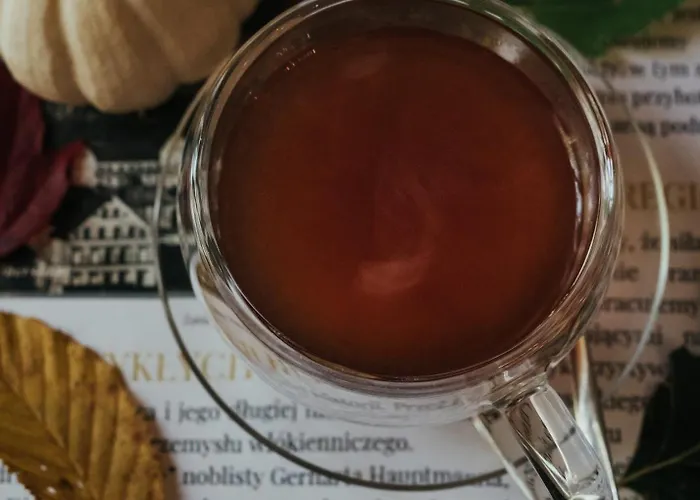 Hotel Debowy Biowellness & Gory Sowie 4*