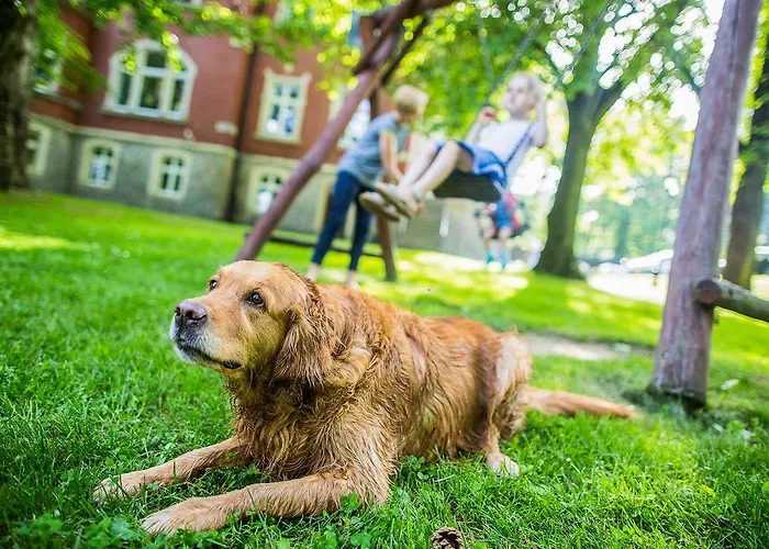 Dębowy Biowellness&spa Góry Sowie Bielawa (Dzierzoniow)