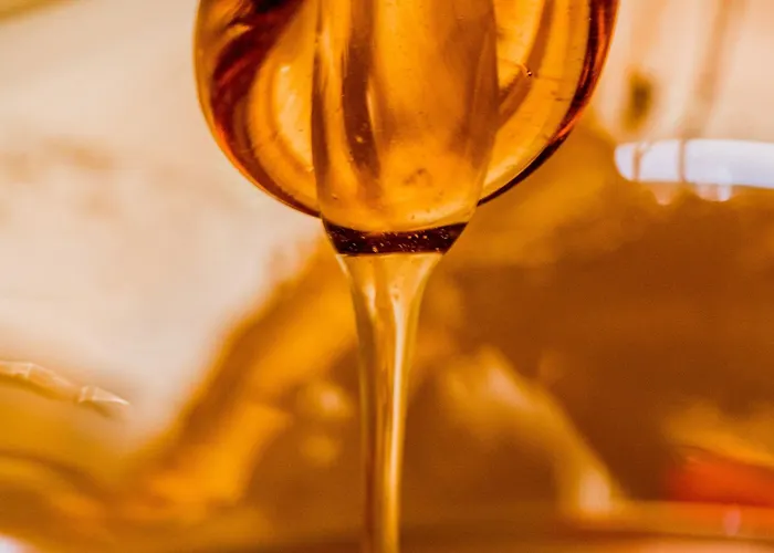 Hotel Debowy Biowellness & Gory Sowie 4*