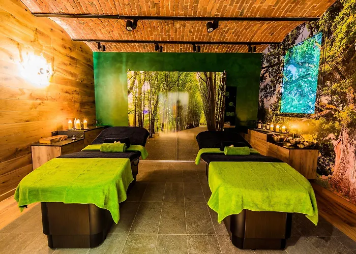 Hotel Debowy Biowellness & Gory Sowie 4*