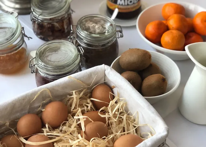 Debowy Biowellness & Gory Sowie